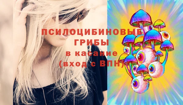 ПСИЛОЦИБИНОВЫЕ ГРИБЫ Касимов