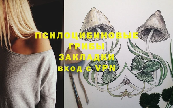 хмурый Пестово