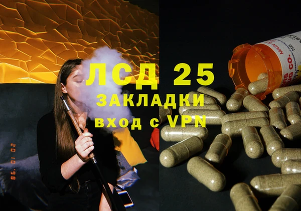 ПСИЛОЦИБИНОВЫЕ ГРИБЫ Касимов