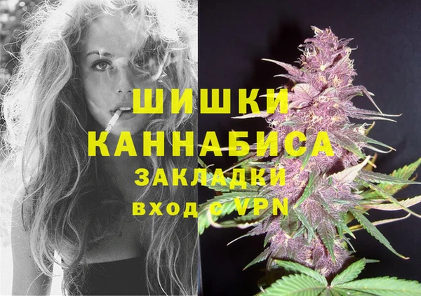 хмурый Пестово