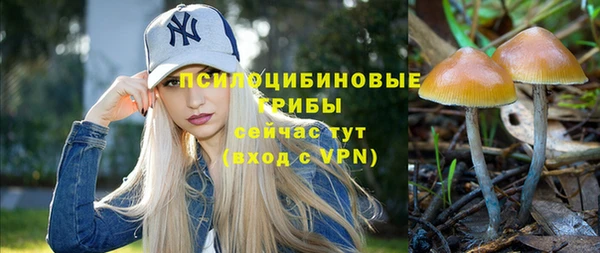 гашиш Пересвет