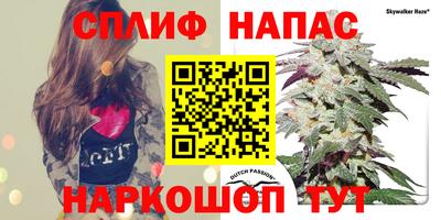 каннабис Бузулук