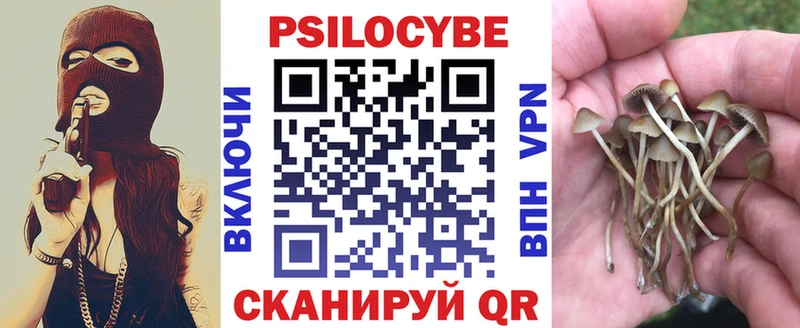 Галлюциногенные грибы прущие грибы  где купить наркоту  Красный Сулин 