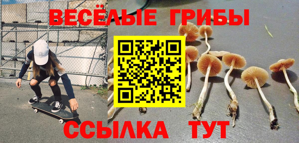 Галлюциногенные грибы Psilocybine cubensis Красный Сулин