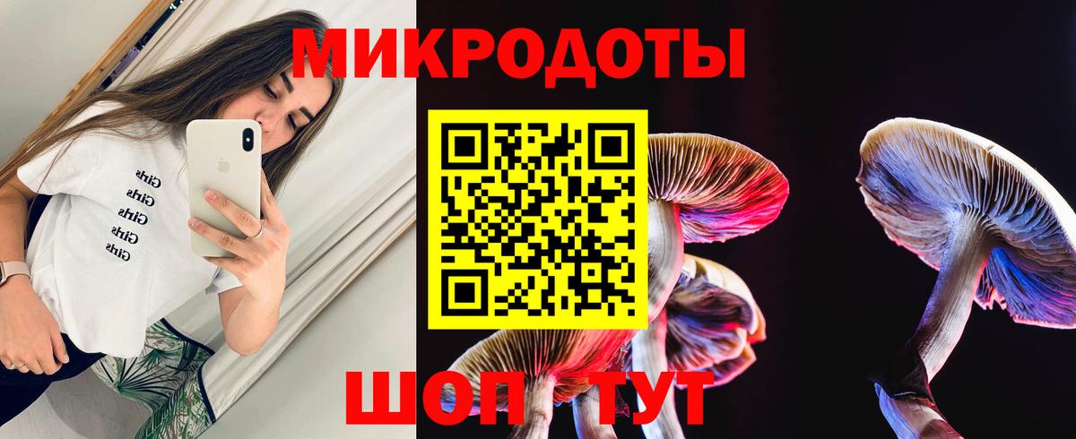 Галлюциногенные грибы Magic Shrooms  купить наркоту  Красный Сулин  Вход с VPN 